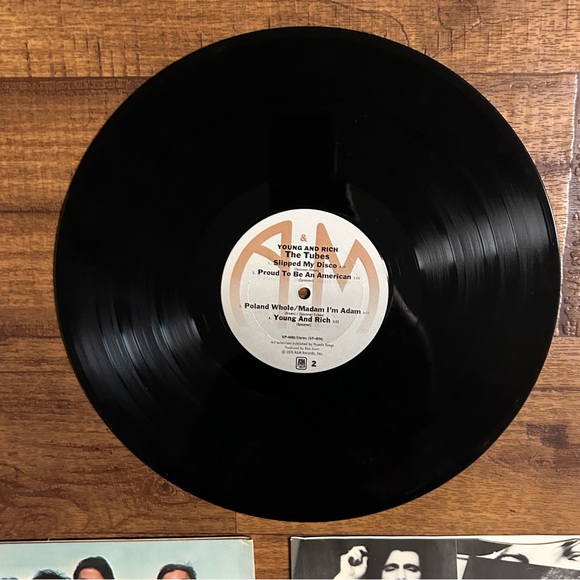 The Tubes~”Young And Rich" Original VINYL LP from 1976 (A&M SP-4580) - Picture 4 of 14